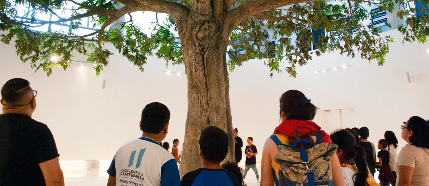 La ciencia a su alcance- cómo despertar la curiosidad desde pequeños